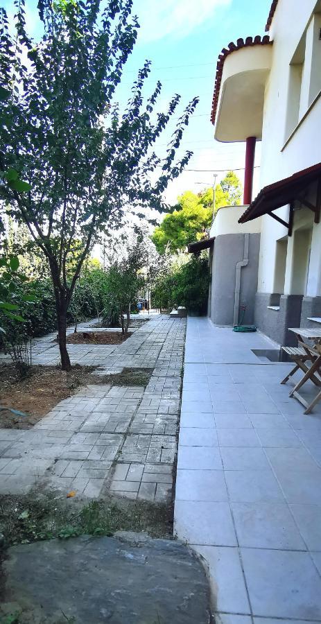 Amazon Spacious 3Bedroom Premium Neighbourhood Athen Eksteriør bilde